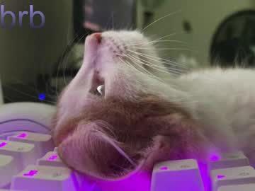 Pambeeslyy Chaturbate stream image from July 04, 2025