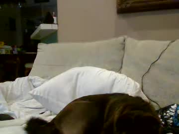 1night5tand Chaturbate stream image from July 05, 2025