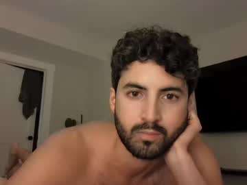 Sebastiannyc123 Chaturbate stream image from July 08, 2025