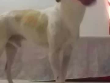 Chatuuser27 Chaturbate stream image from July 10, 2025