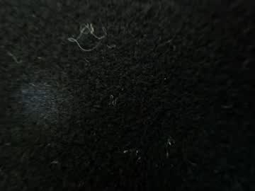 Minimaia Chaturbate stream image from July 14, 2025