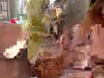 Tbaexox Chaturbate stream image from July 17, 2025