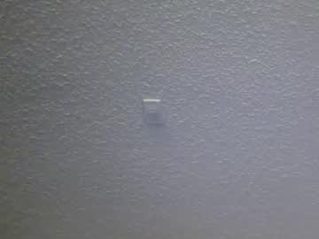 Lostvegasbabyyy Chaturbate stream image from July 20, 2025