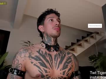 Tigerstripes_ Chaturbate stream image from July 22, 2025