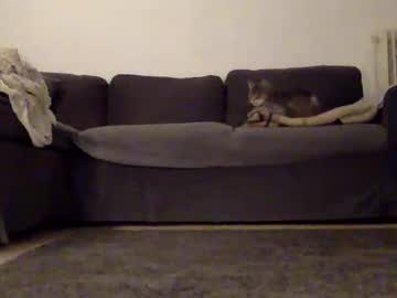 Doomcock75 Chaturbate stream image from July 22, 2025