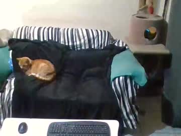 Wolfct Chaturbate stream image from July 23, 2025