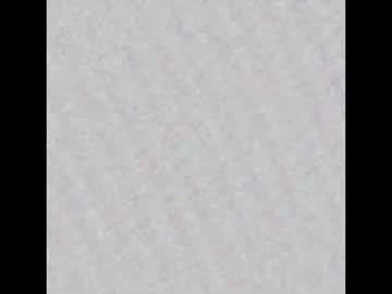 Chiloschista Chaturbate stream image from July 24, 2025