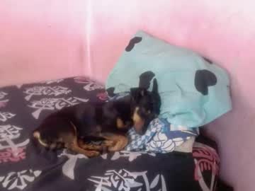 Tianiiss_Sweet Chaturbate stream image from July 28, 2025