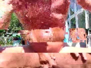 Justforyou777770 Chaturbate stream image from August 01, 2025