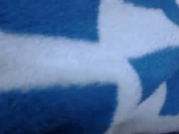 Belylover2323 Chaturbate stream image from August 03, 2025