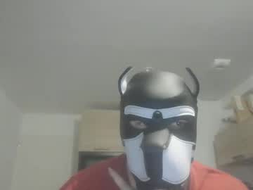 Jackstoun_Puppy Chaturbate stream image from August 04, 2025