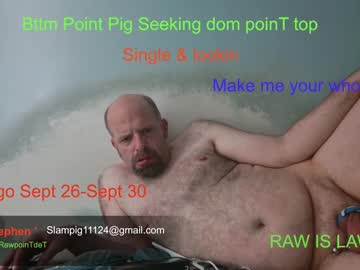 Rawpointpig41 Chaturbate stream image from August 05, 2025