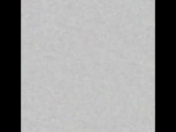 Tammy_Evaans Chaturbate stream image from August 05, 2025