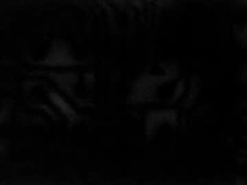 Cutiepieslut169 Chaturbate stream image from August 05, 2025