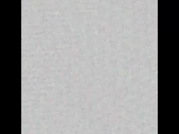 Raynes_World Chaturbate stream image from August 08, 2025