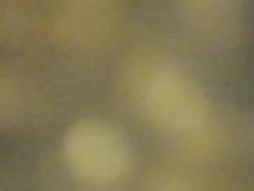 Sweet_Celeste69 Chaturbate stream image from August 10, 2025