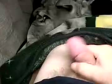 Stargazor Chaturbate stream image from August 11, 2025