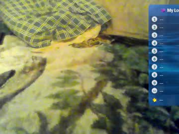 Yreal232 Chaturbate stream image from August 12, 2025