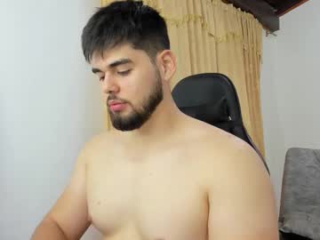 Hans_Fox03 Chaturbate stream image from August 12, 2025