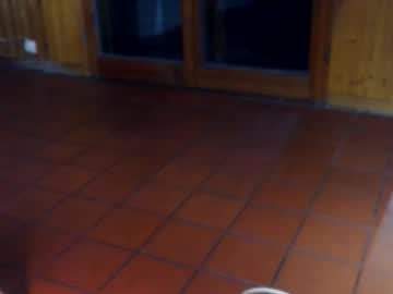 Sexypopodancer Chaturbate stream image from August 14, 2025