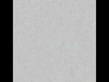 Femmelover444 Chaturbate stream image from August 19, 2025