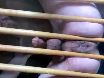 Pollenectorcum Chaturbate stream image from August 20, 2025