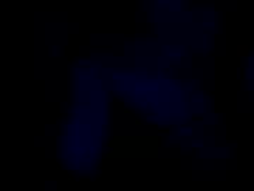 Vixen1231 Chaturbate stream image from August 24, 2025