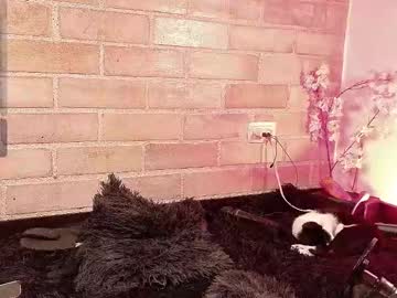 Abbeey_ Chaturbate stream image from August 25, 2025