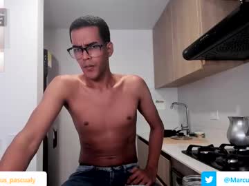 Pikashuu7u7 Chaturbate stream image from August 25, 2025