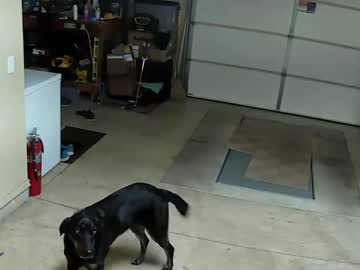 Kbean321 Chaturbate stream image from August 29, 2025