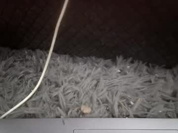Seegodd2666 Chaturbate stream image from September 02, 2025