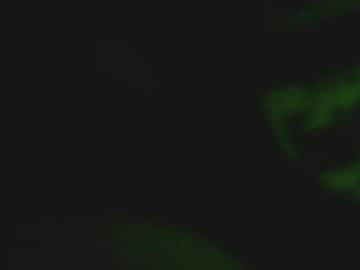 911jackking Chaturbate stream image from September 03, 2025