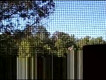 762dave762 Chaturbate stream image from September 10, 2025