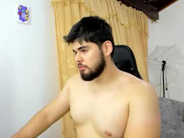 Hans_Fox03 Chaturbate stream image from September 11, 2025