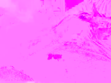 Michaelmi517 Chaturbate stream image from September 12, 2025
