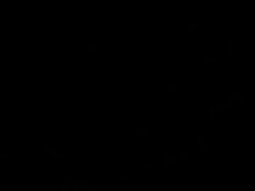 2kinkyracoonsxxx Chaturbate stream image from September 13, 2025