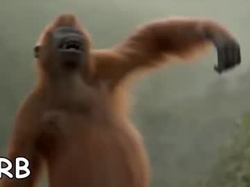 Veryveryshybaboon Chaturbate stream image from September 15, 2025