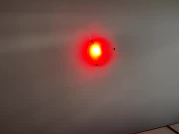 Witebull83 Chaturbate stream image from September 17, 2025