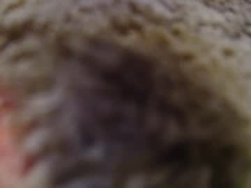 1tallhispanic13 Chaturbate stream image from September 17, 2025