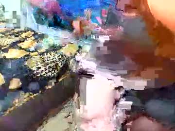 Annaxgoldx Chaturbate stream image from September 19, 2025