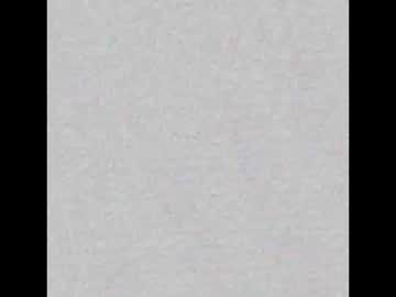 _Tammarra_ Chaturbate stream image from September 25, 2025
