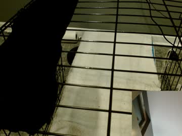 Cagedboytoy Chaturbate stream image from October 01, 2025