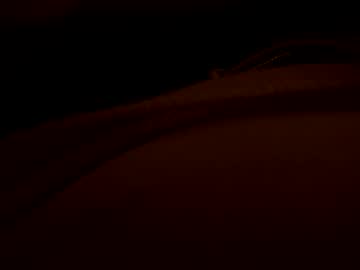 2025rob Chaturbate stream image from October 02, 2025