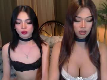 Twinktransshanel Chaturbate stream image from October 06, 2025