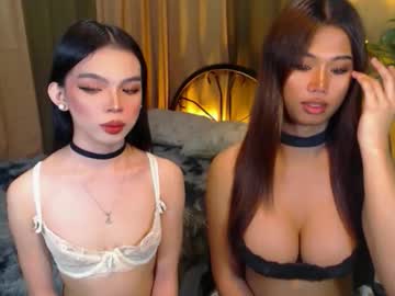Twinktransshanel Chaturbate stream image from October 08, 2025