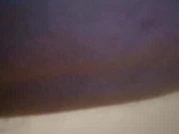 Teggy91368513 Chaturbate stream image from October 08, 2025