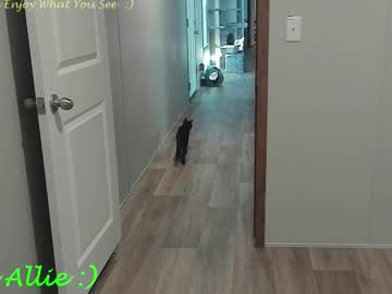 Allie__Kat Chaturbate stream image from October 11, 2025