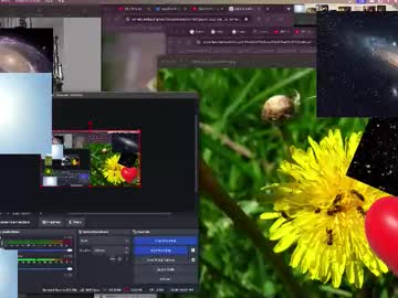 Jpsunflower Chaturbate stream image from October 13, 2025