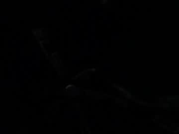 Stevedickson_ Chaturbate stream image from October 14, 2025