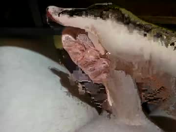 Princebwc Chaturbate stream image from October 15, 2025